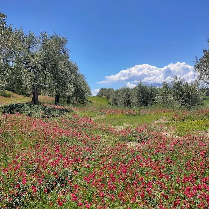 Mascagni Farmhouse In Val D'Orcia Apartment Pienza