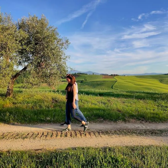 Mascagni Farmhouse In Val D'Orcia Apartment Pienza Italy
