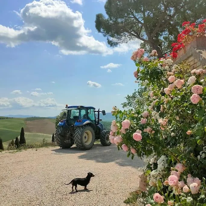 Mascagni Farmhouse In Val D'Orcia Apartment Pienza